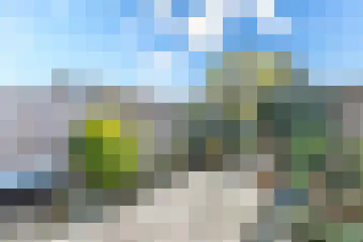 Filipijnen 79 Utrecht thumbnail 25