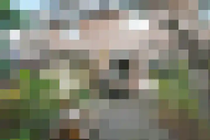 Filipijnen 79 Utrecht thumbnail 26