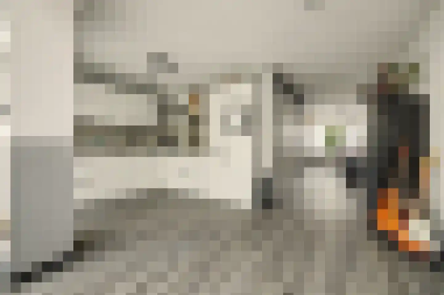 Filips de Goedestraat 8 's-Heer Hendrikskinderen thumbnail 15