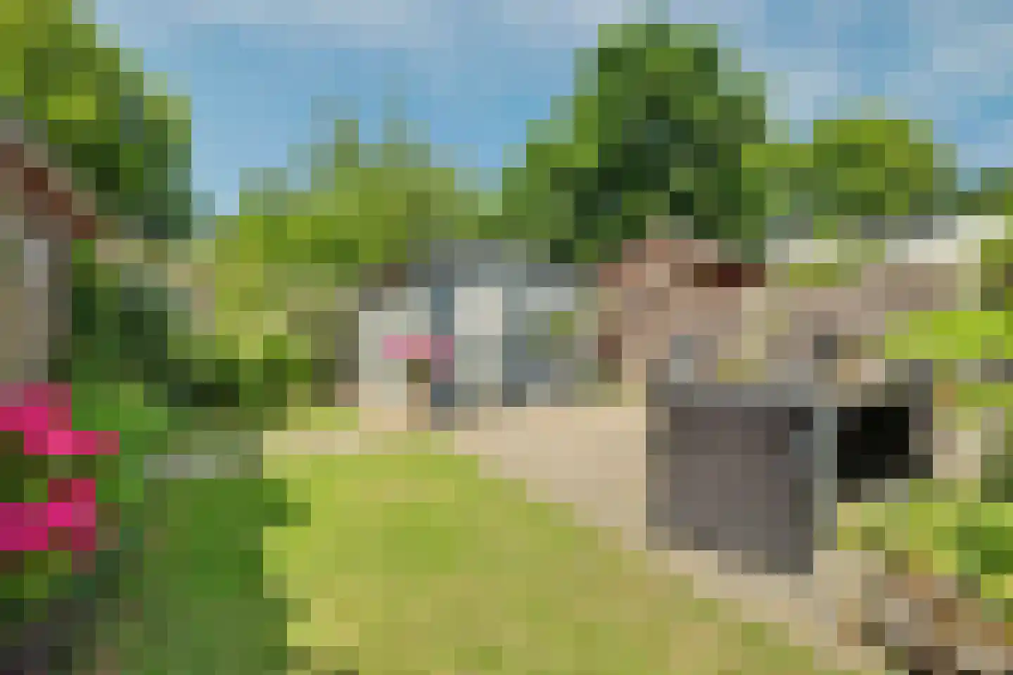 Filips de Goedestraat 8 's-Heer Hendrikskinderen thumbnail 33