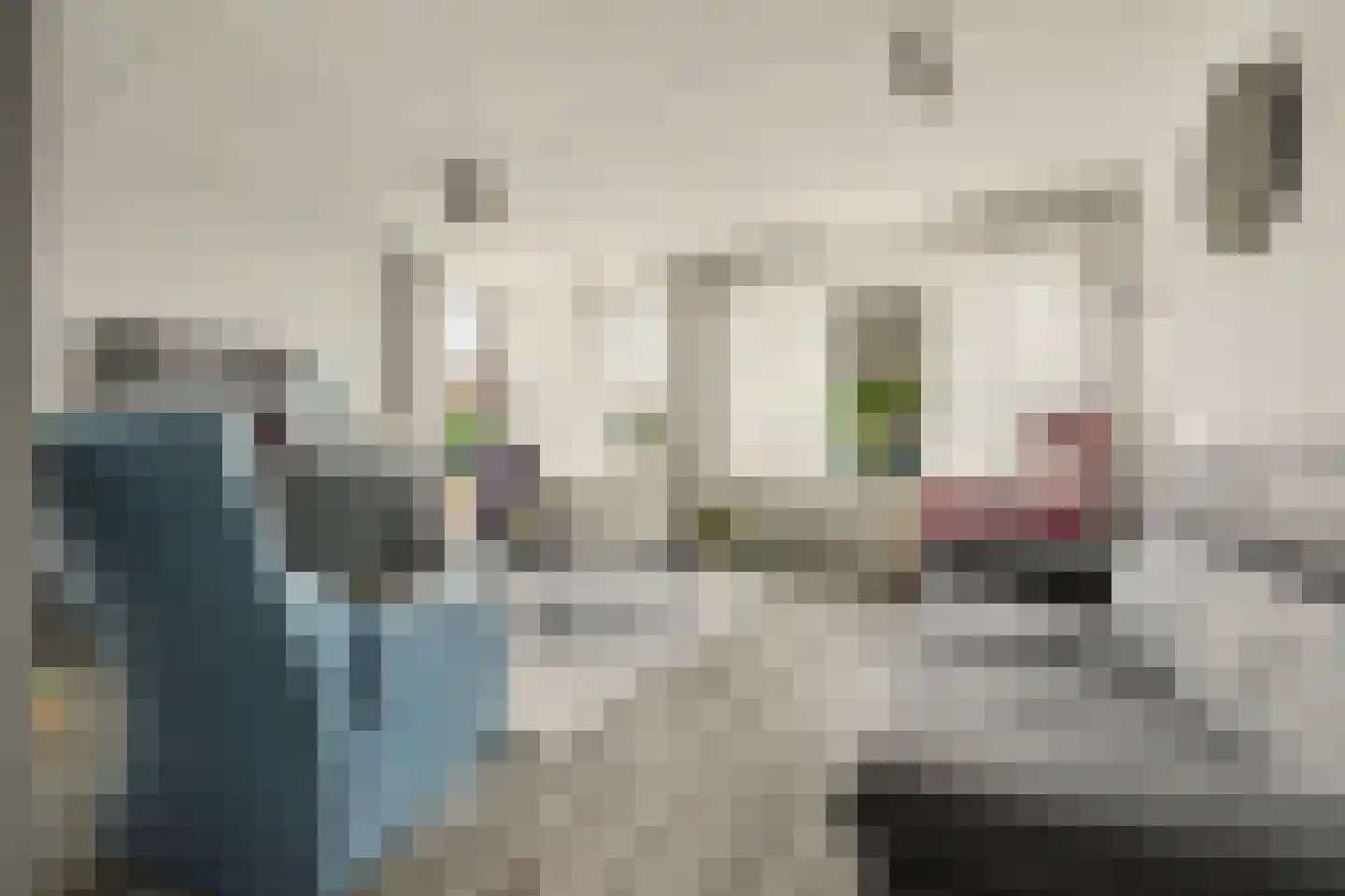 Filips de Goedestraat 8 's-Heer Hendrikskinderen thumbnail 4