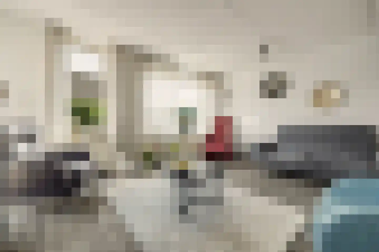Filips de Goedestraat 8 's-Heer Hendrikskinderen thumbnail 5
