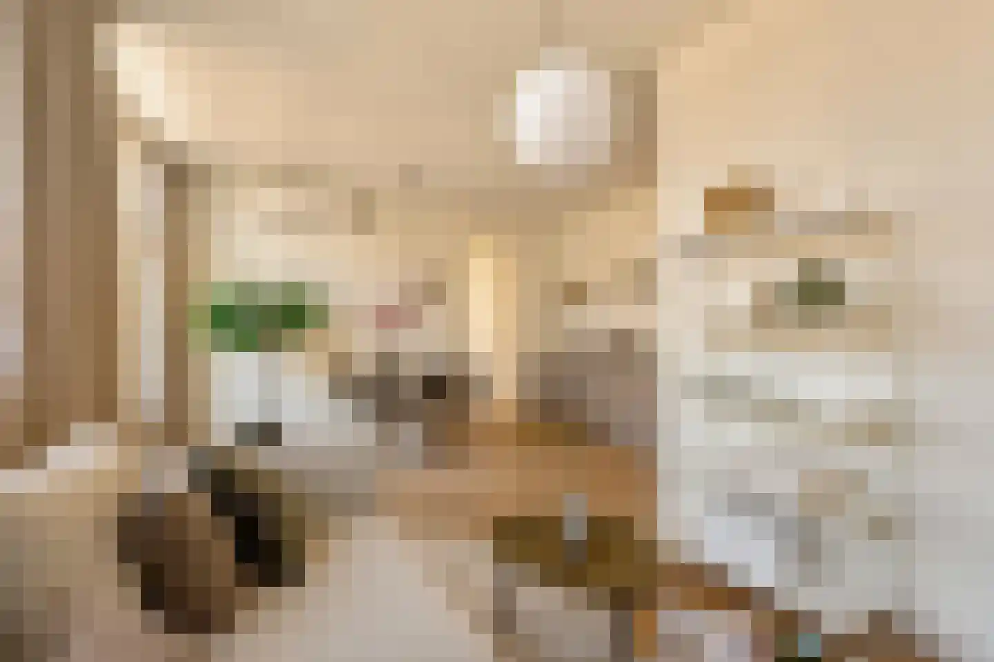 Filips van Almondestraat 1 4 Amsterdam thumbnail 10