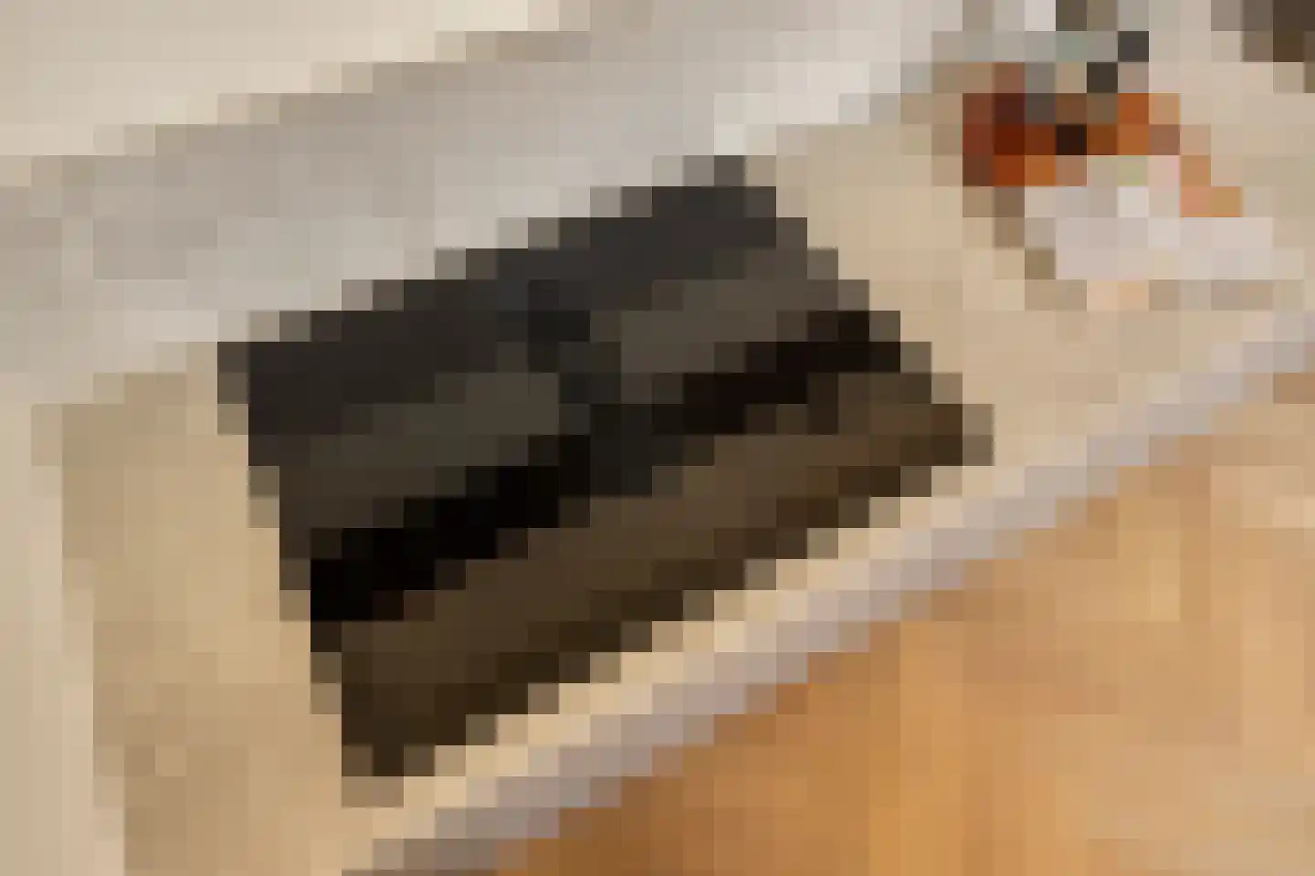 Filips van Almondestraat 1 4 Amsterdam thumbnail 12
