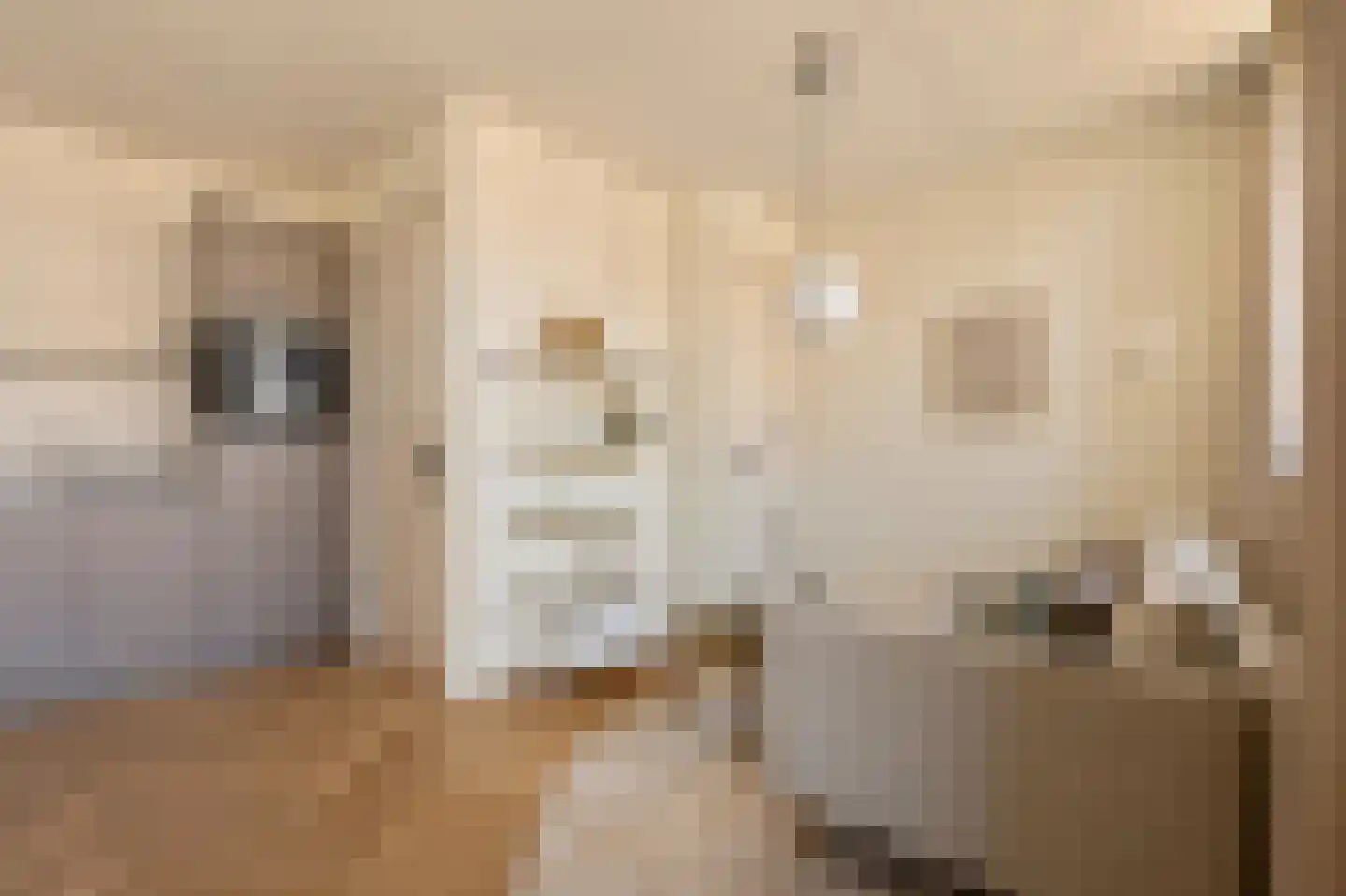 Filips van Almondestraat 1 4 Amsterdam thumbnail 9