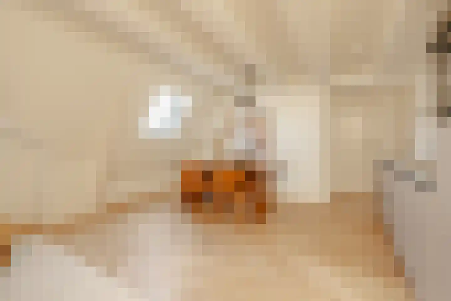 Filips van Almondestraat 1 B 4 Amsterdam thumbnail 5
