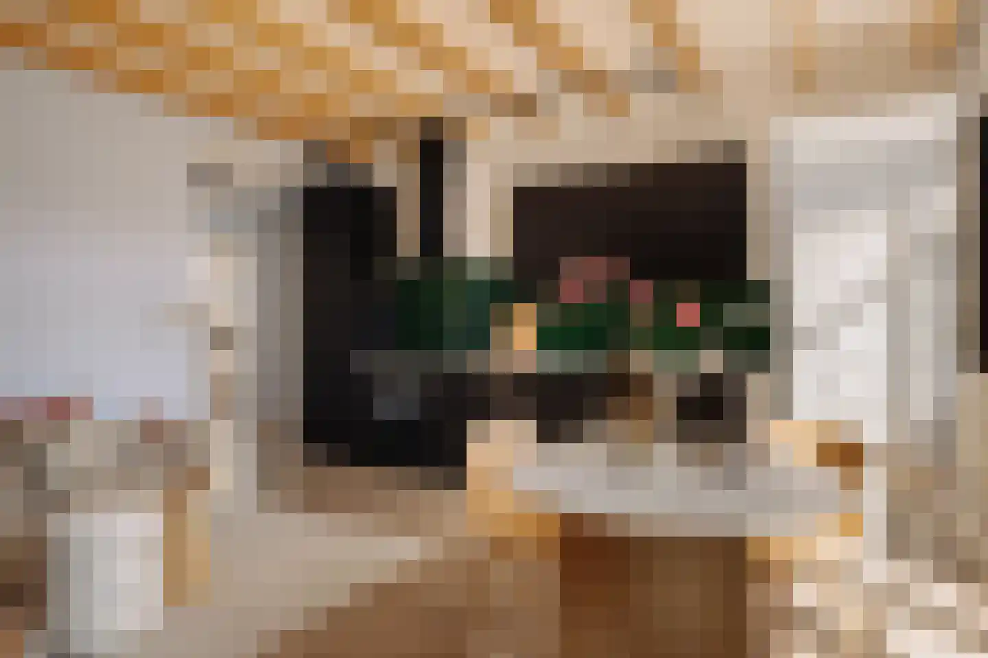 Filips van Almondestraat 13 B Amsterdam thumbnail 4