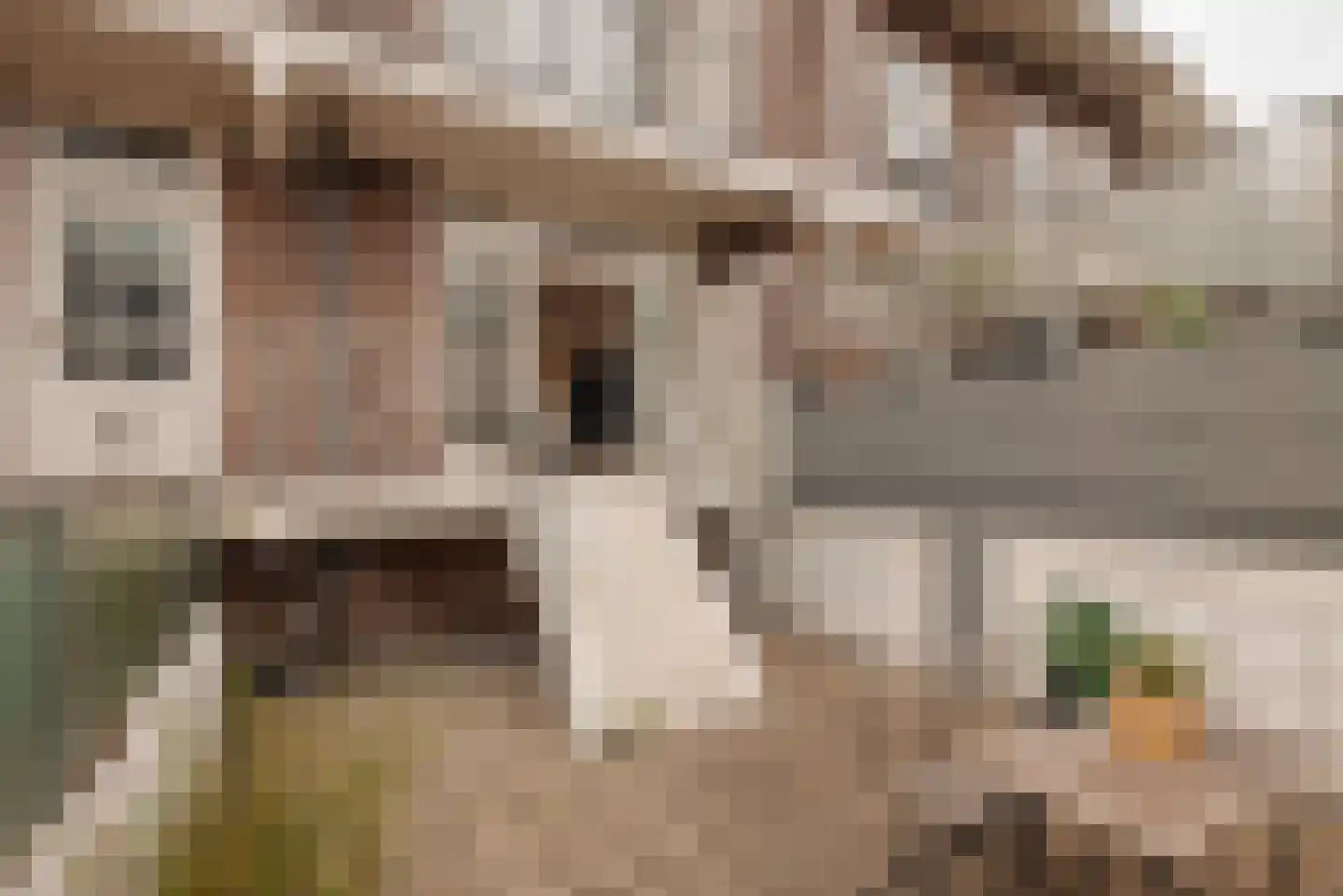 Filips van Almondestraat 17 Amsterdam thumbnail 14