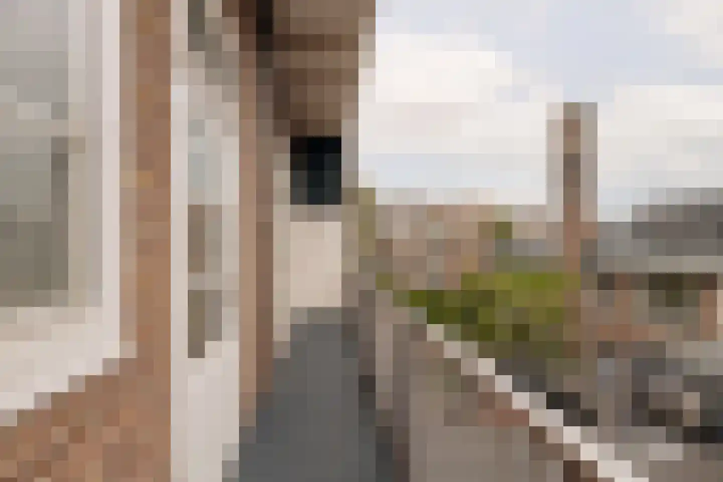 Filips van Almondestraat 17 Amsterdam thumbnail 25