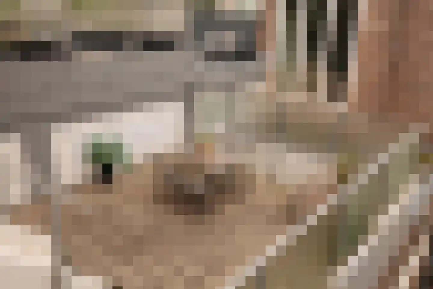 Filips van Almondestraat 17 Amsterdam thumbnail 4