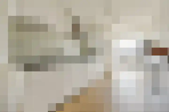 Filips van Almondestraat 19 2 Amsterdam thumbnail 10