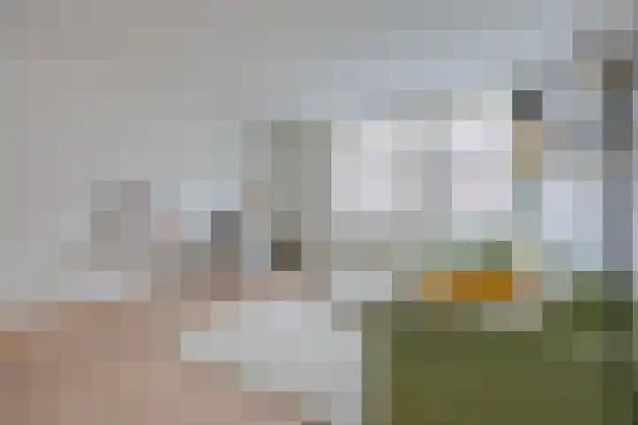 Filips van Almondestraat 25 1 Amsterdam thumbnail 6