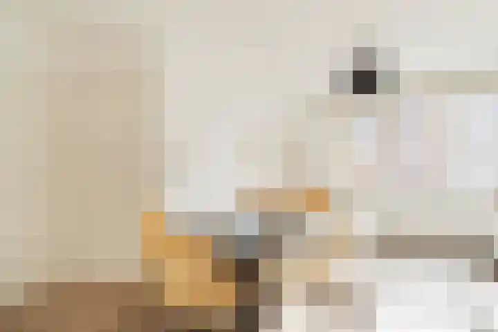 Filips van Almondestraat 28 3 Amsterdam thumbnail 13