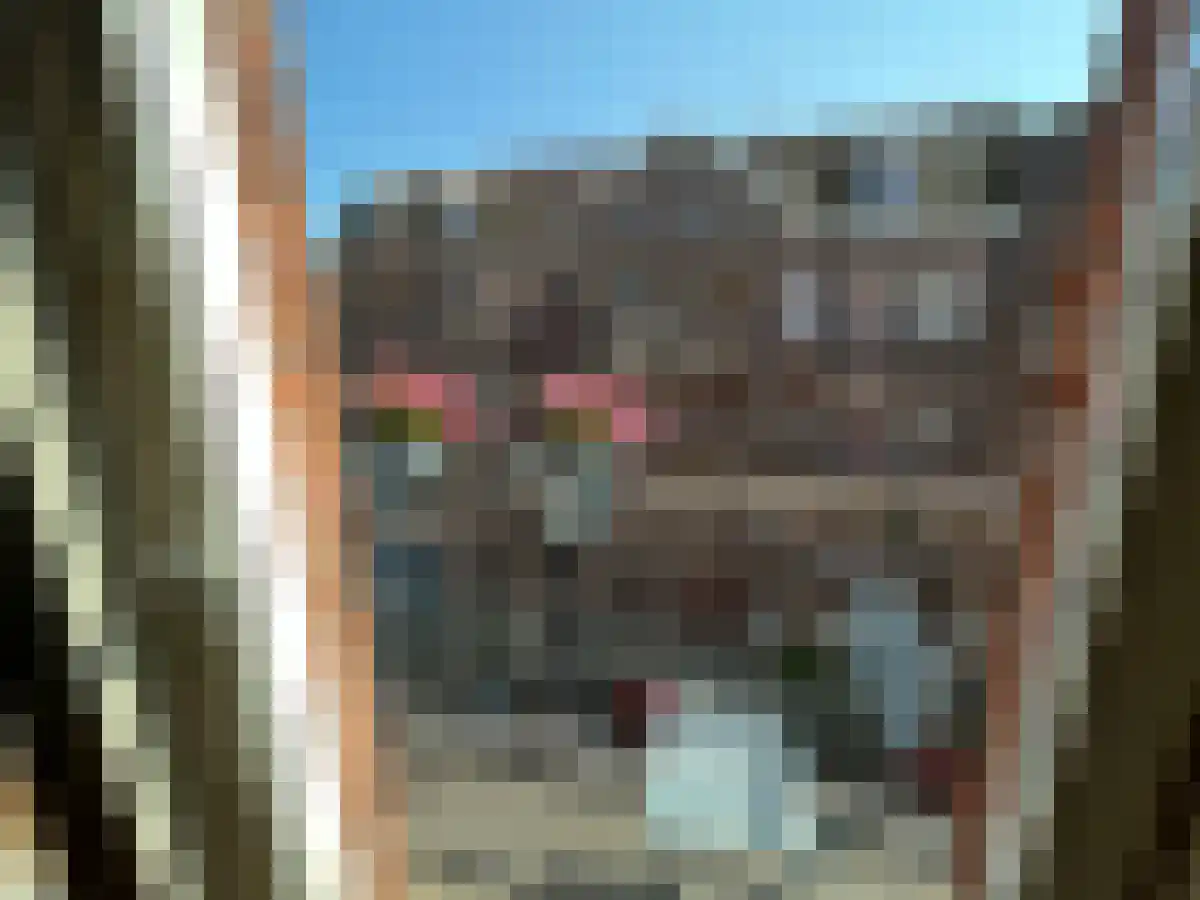 Filips van Almondestraat Amsterdam thumbnail 6