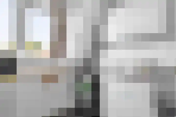 Filips van Bourgondiëstraat 18 2 Schiedam thumbnail 7