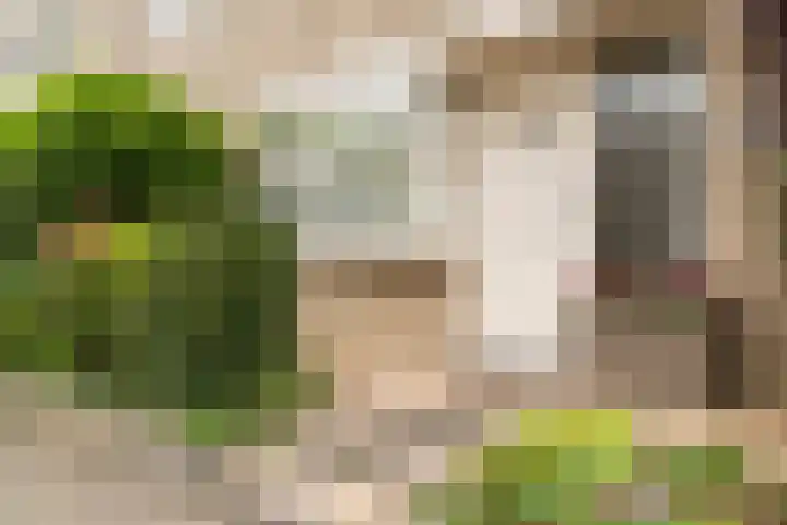 Filips van Bourgondiëstraat 29 Alphen aan den Rijn thumbnail 10