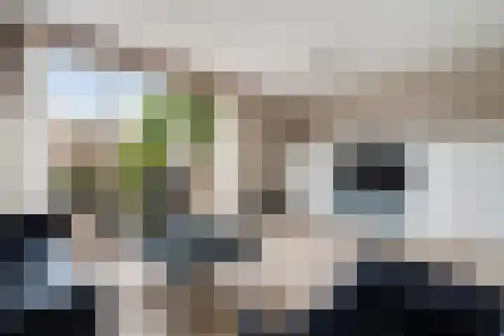Filips van Bourgondiëstraat 29 Alphen aan den Rijn thumbnail 17