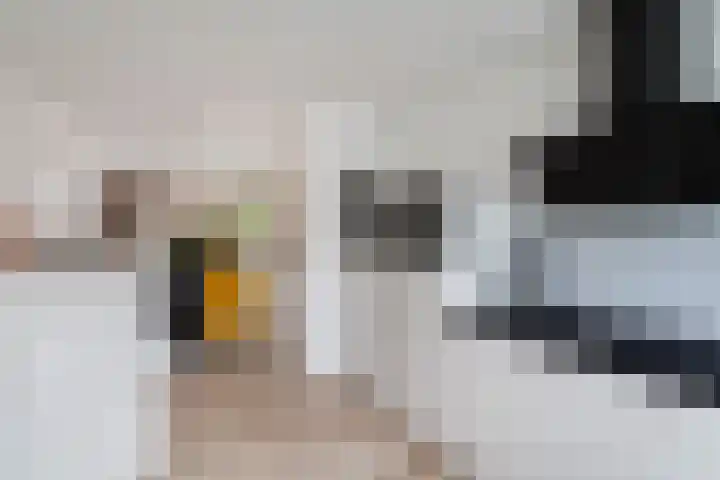 Filips van Bourgondiëstraat 29 Alphen aan den Rijn thumbnail 26