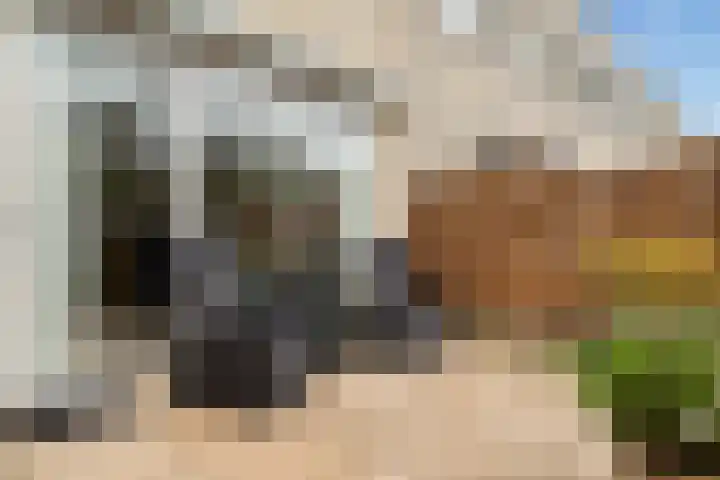 Filips van Bourgondiëstraat 29 Alphen aan den Rijn thumbnail 28