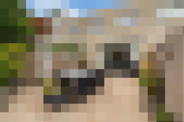 Filips van Bourgondiëstraat 29 Alphen aan den Rijn thumbnail 29