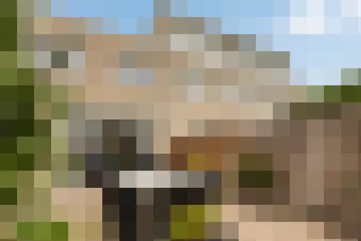 Filips van Bourgondiëstraat 29 Alphen aan den Rijn thumbnail 30
