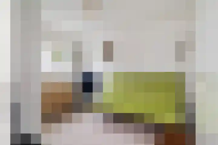 Filips van Bourgondiëstraat 29 Alphen aan den Rijn thumbnail 37