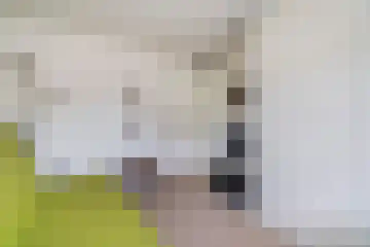 Filips van Bourgondiëstraat 29 Alphen aan den Rijn thumbnail 38