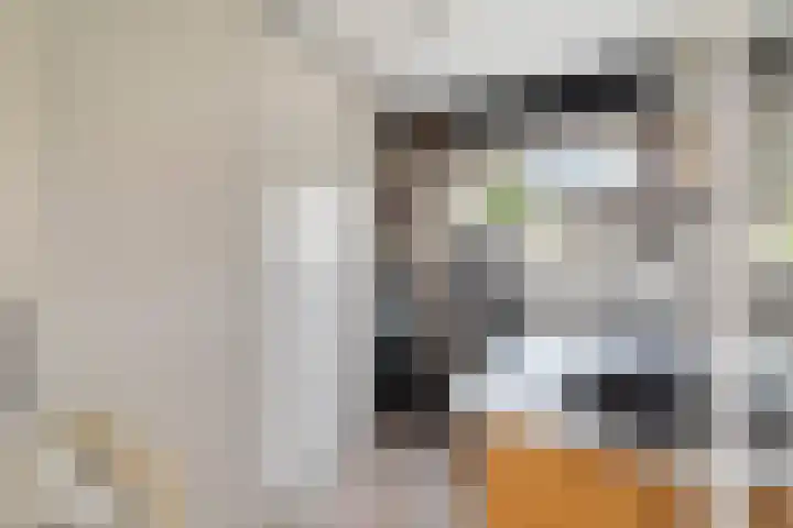 Filips van Bourgondiëstraat 29 Alphen aan den Rijn thumbnail 39