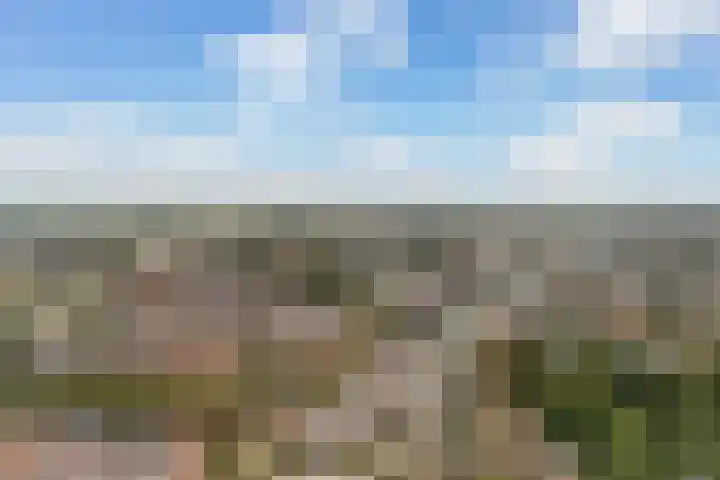 Filips van Bourgondiëstraat 29 Alphen aan den Rijn thumbnail 44