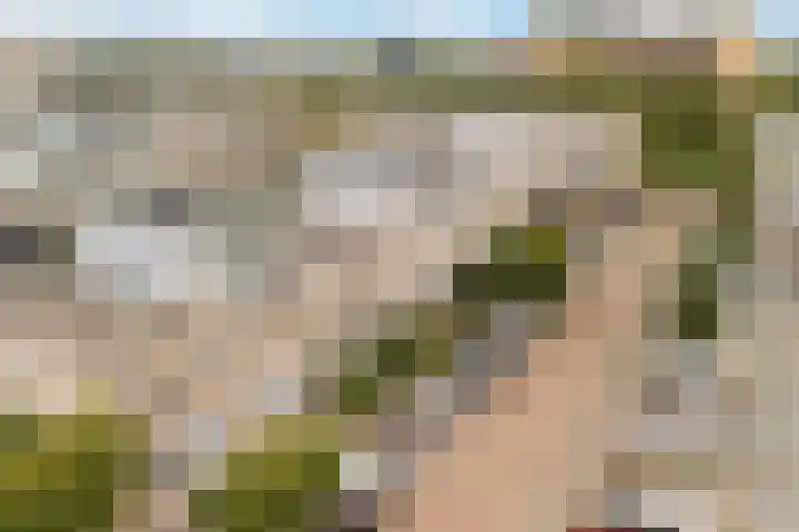 Filips van Bourgondiëstraat 29 Alphen aan den Rijn thumbnail 6