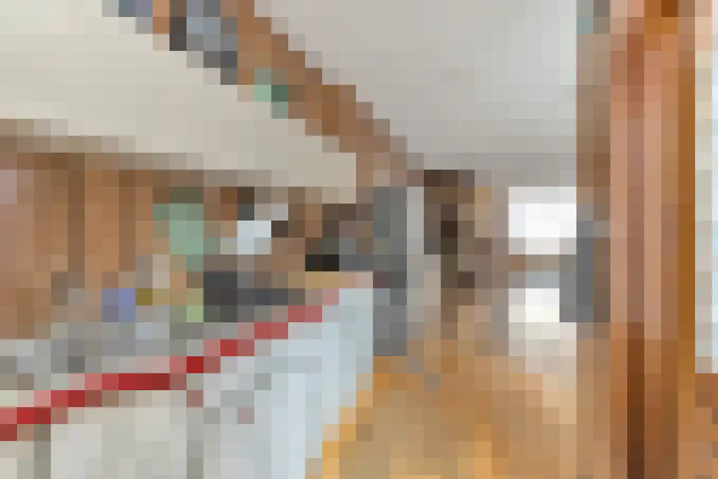 Filips van Bourgondiëstraat 35 Schiedam thumbnail 13