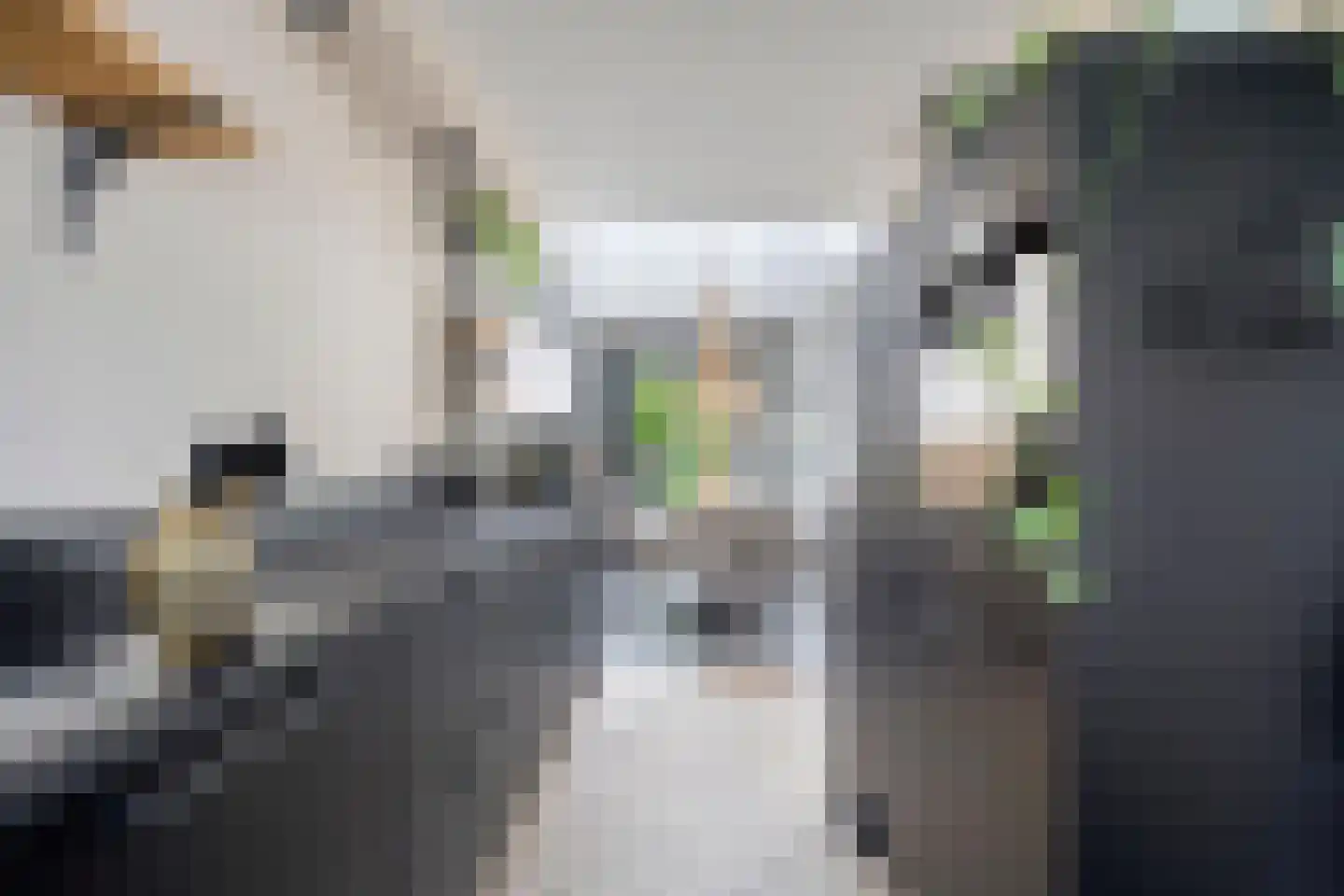 Filips van Bourgondiëstraat 46 Alphen aan den Rijn thumbnail 13
