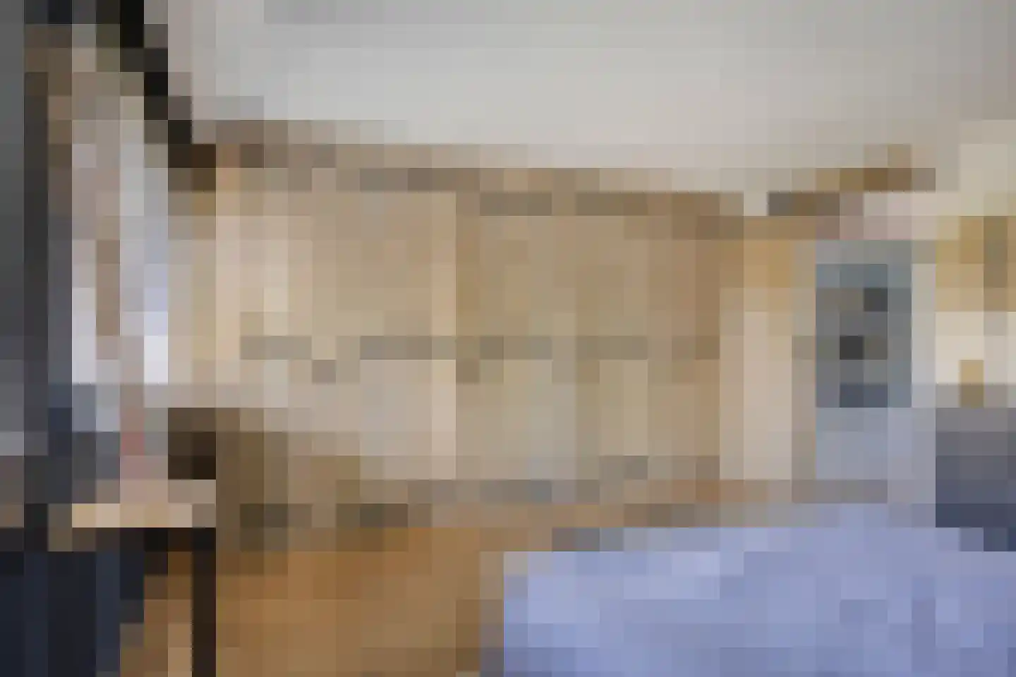 Filips van Bourgondiëstraat 46 Alphen aan den Rijn thumbnail 17
