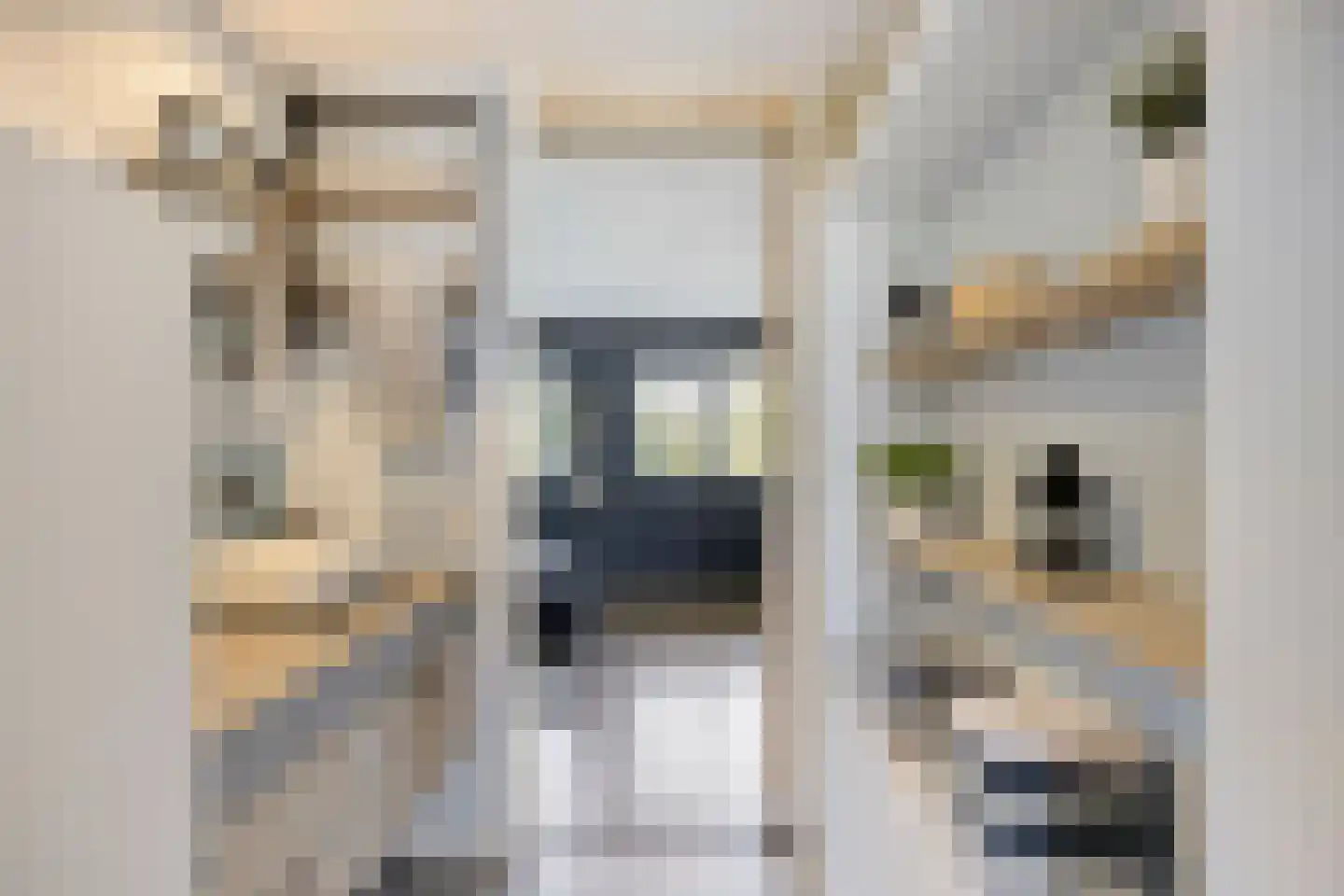 Filips van Bourgondiëstraat 46 Alphen aan den Rijn thumbnail 20