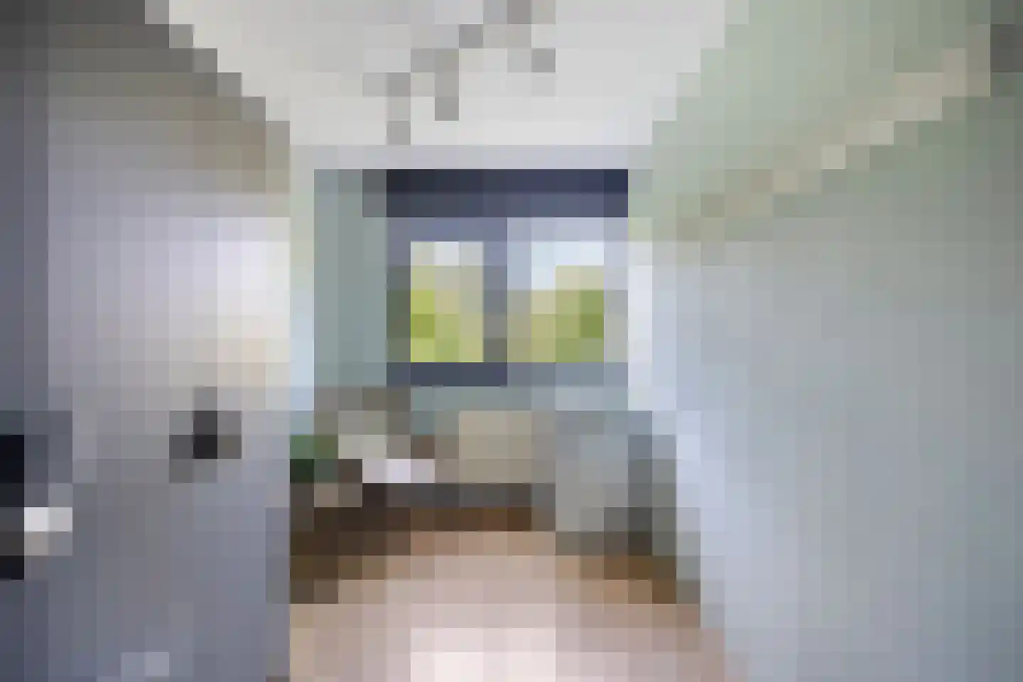 Filips van Bourgondiëstraat 46 Alphen aan den Rijn thumbnail 22