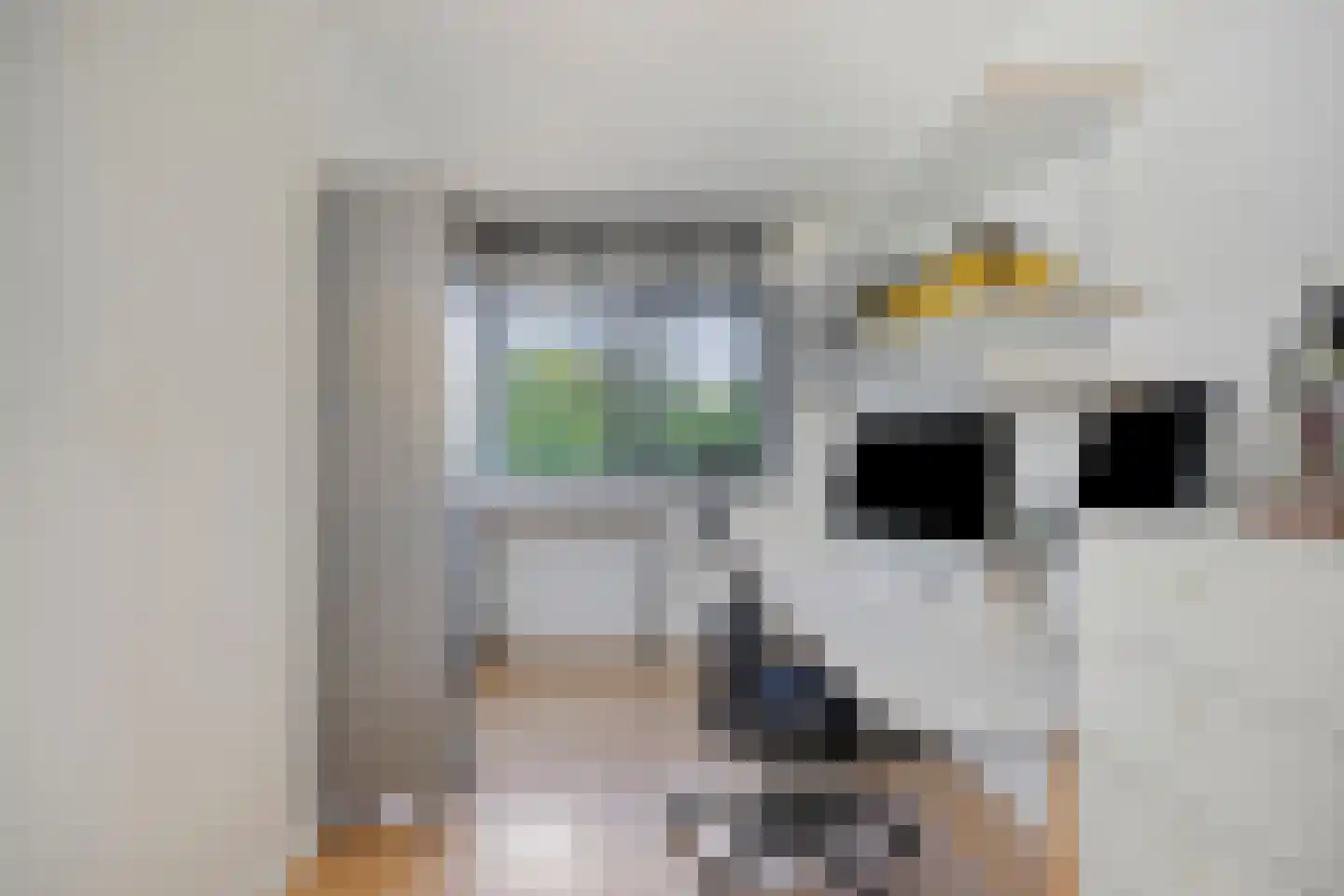 Filips van Bourgondiëstraat 46 Alphen aan den Rijn thumbnail 28