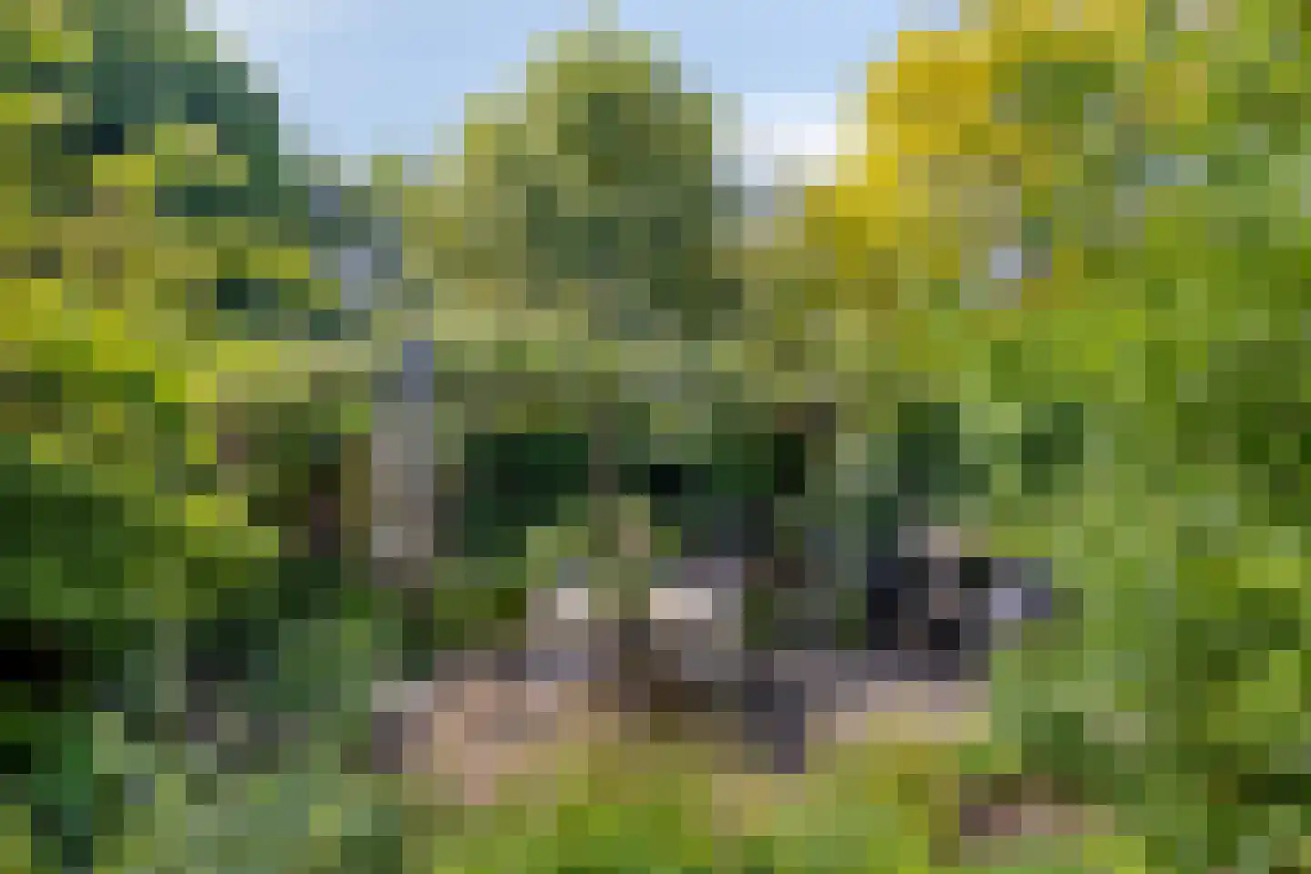 Filips van Bourgondiëstraat 46 Alphen aan den Rijn thumbnail 33