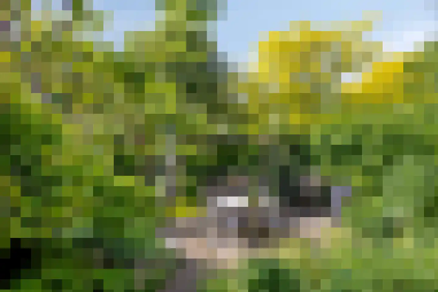 Filips van Bourgondiëstraat 46 Alphen aan den Rijn thumbnail 34