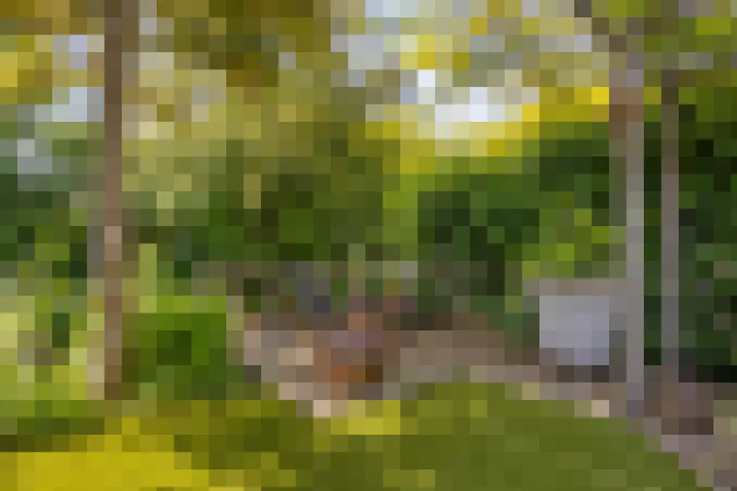 Filips van Bourgondiëstraat 46 Alphen aan den Rijn thumbnail 36