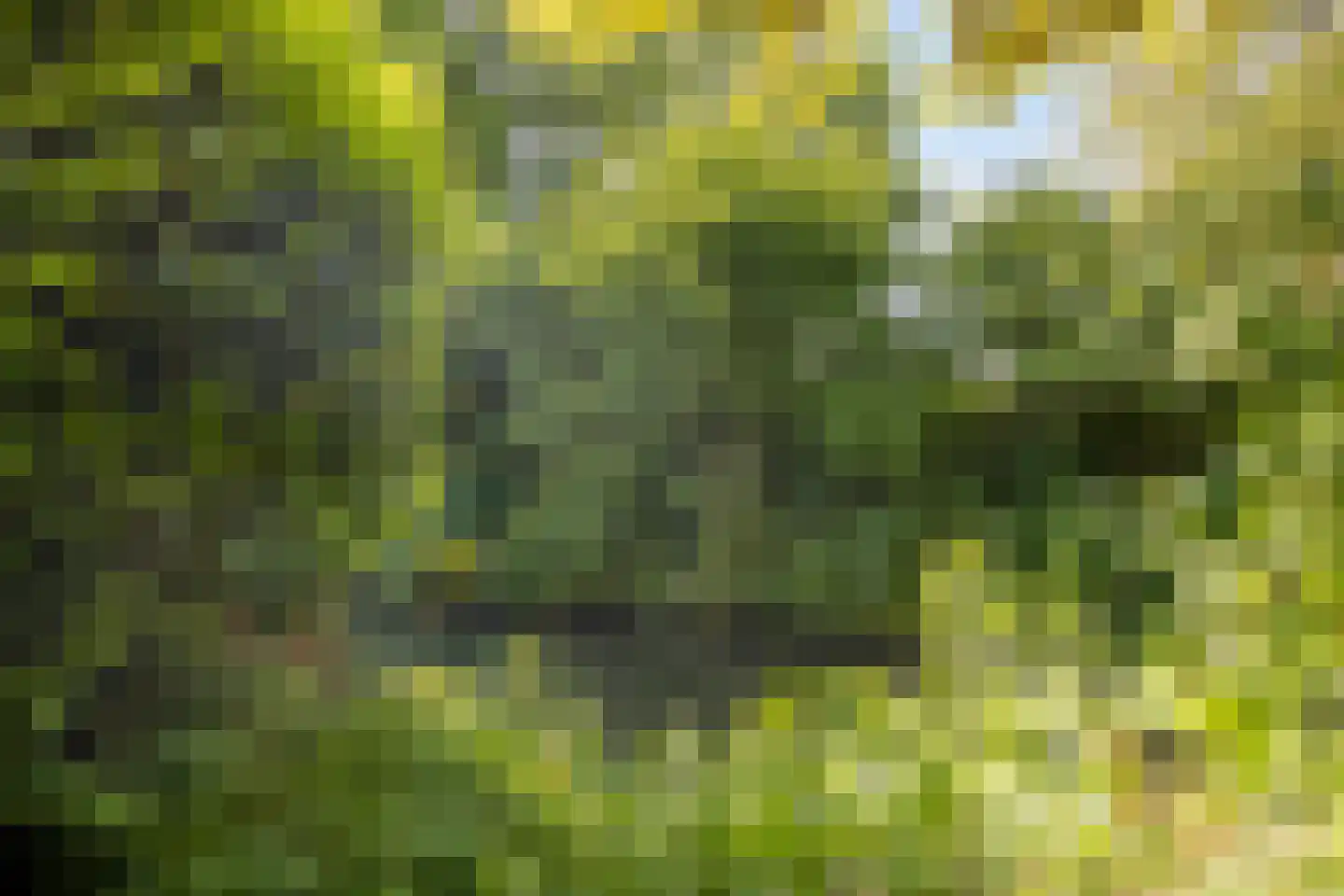 Filips van Bourgondiëstraat 46 Alphen aan den Rijn thumbnail 37