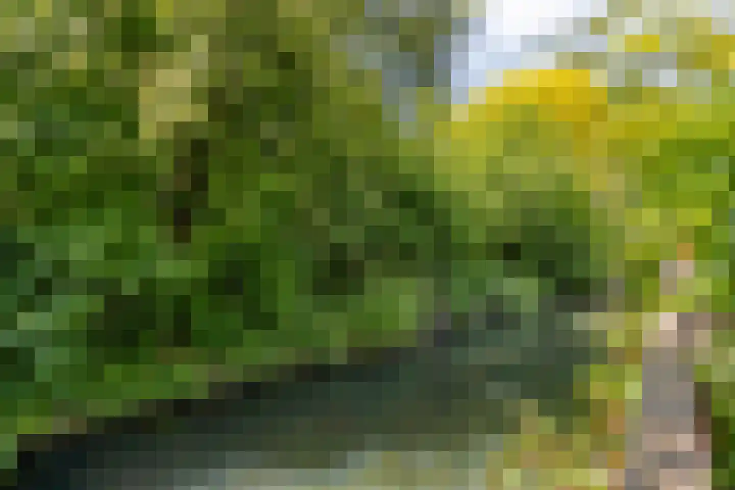 Filips van Bourgondiëstraat 46 Alphen aan den Rijn thumbnail 38