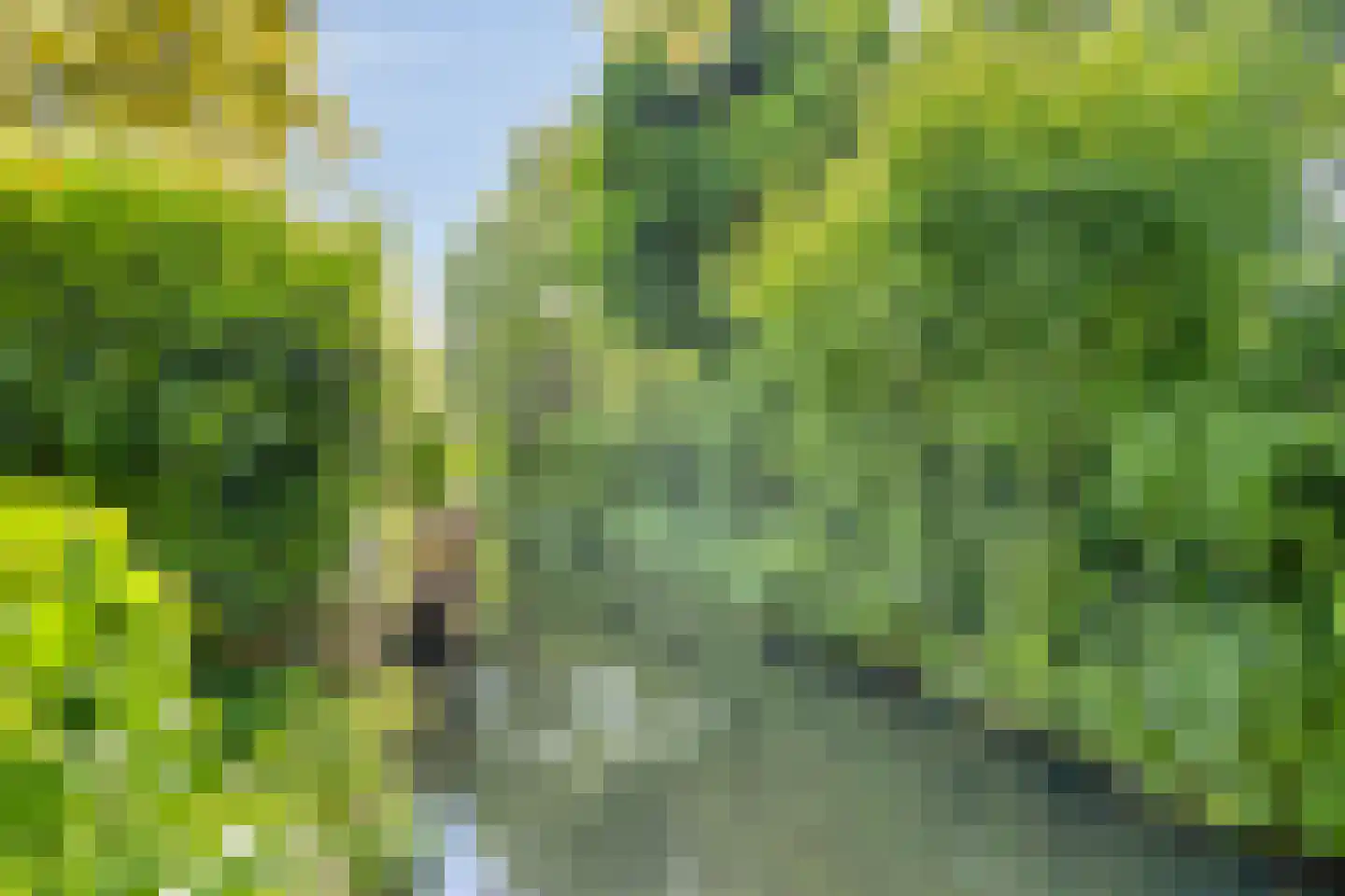Filips van Bourgondiëstraat 46 Alphen aan den Rijn thumbnail 39