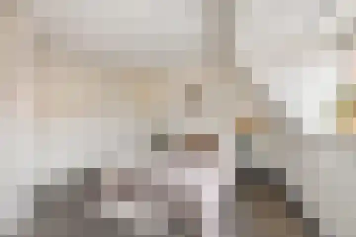 Filips van Bourgondiëstraat 6 Schiedam thumbnail 26