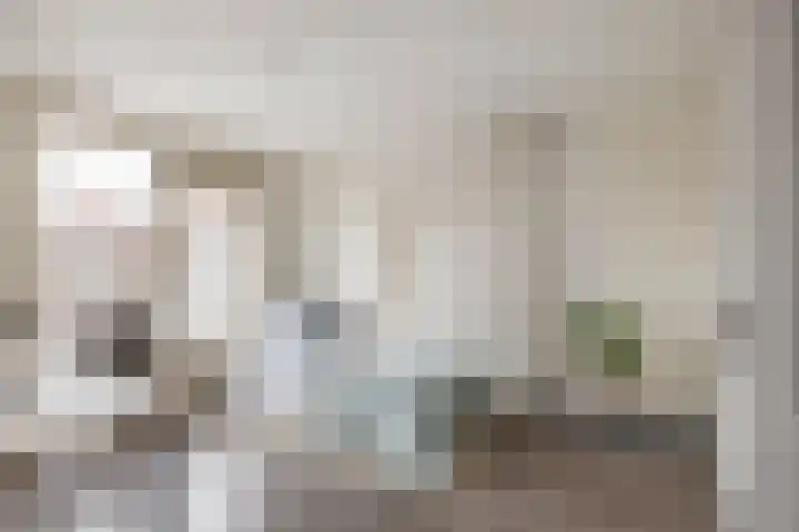 Filips van Bourgondiëstraat 6 Schiedam thumbnail 27