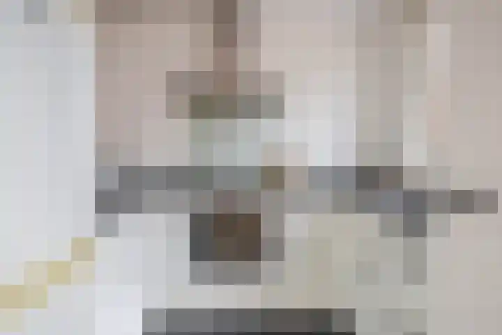 Filips van Bourgondiëstraat 6 Schiedam thumbnail 4