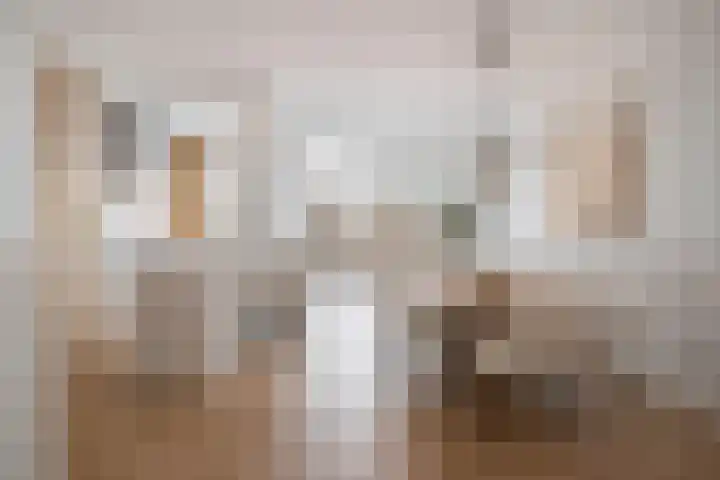 Filips van Bourgondiëstraat 6 Schiedam thumbnail 9