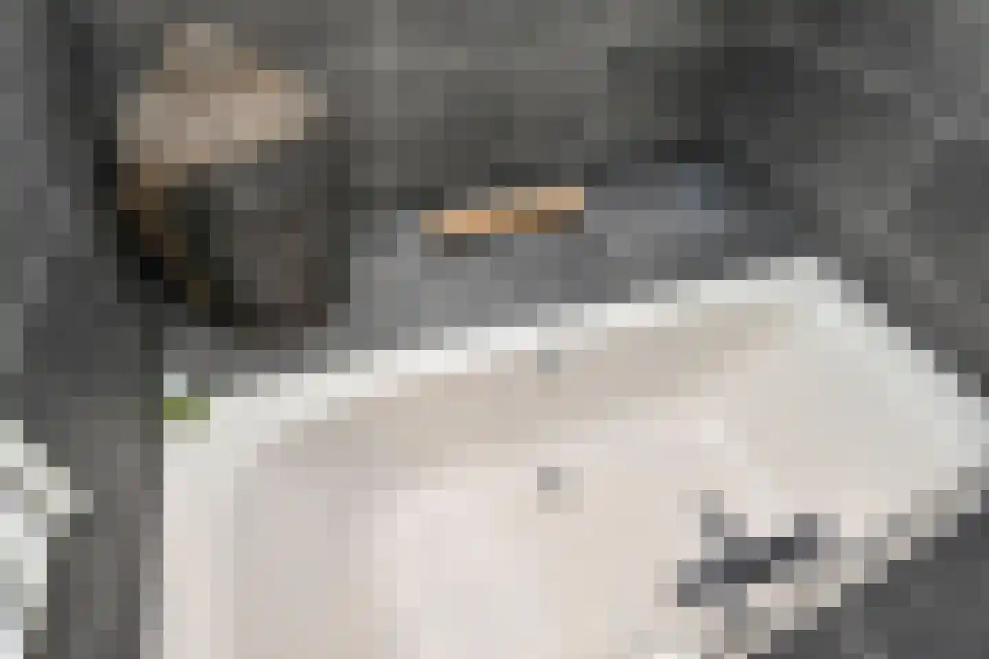 Filmlaan 1 Zoetermeer thumbnail 26
