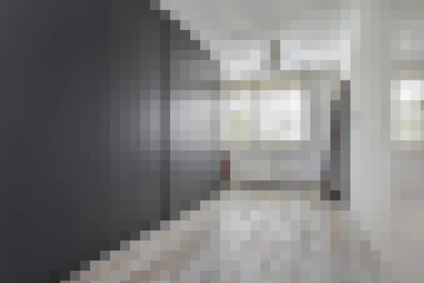 Filmlaan 1 Zoetermeer thumbnail 31