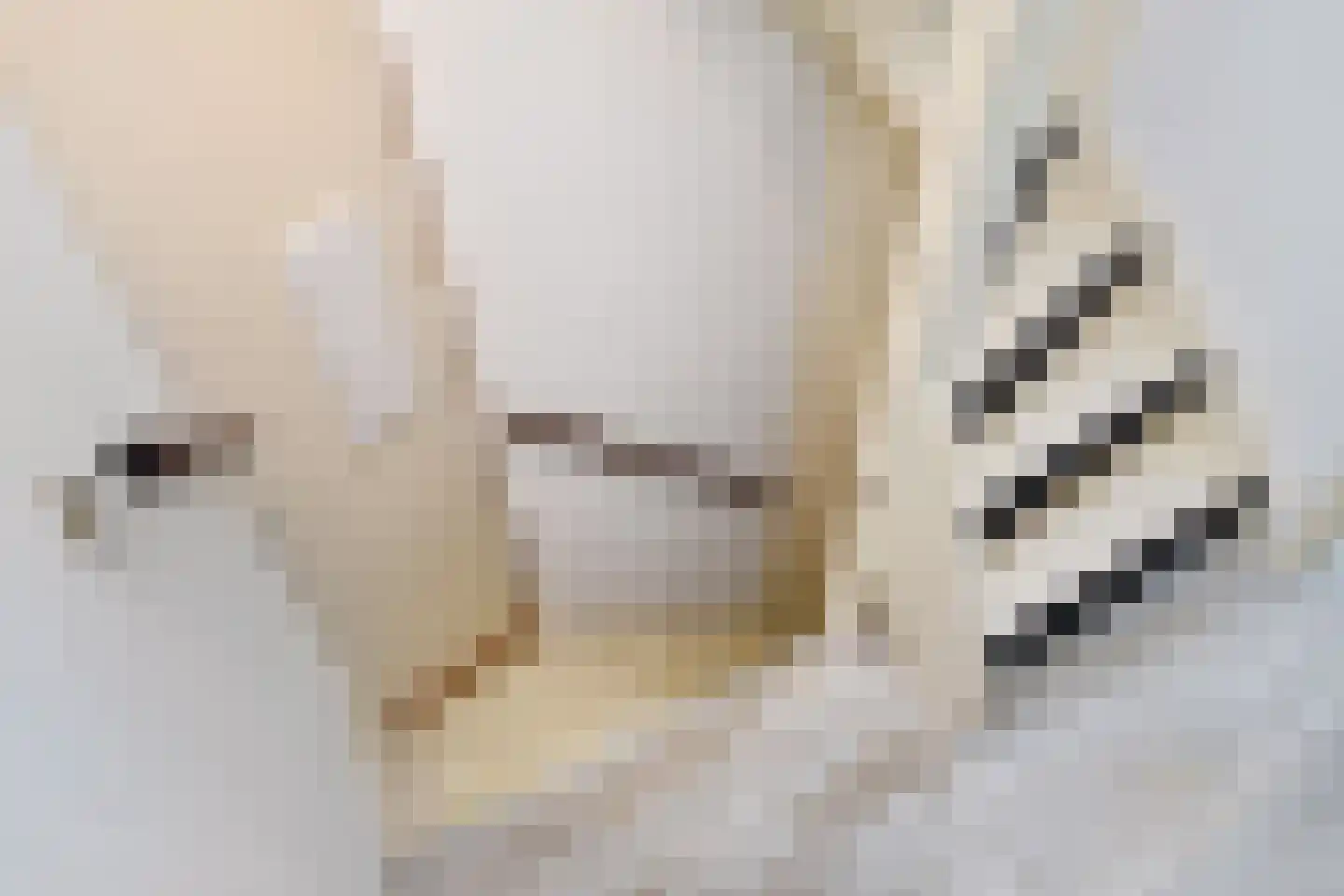 Filmlaan 1 Zoetermeer thumbnail 33