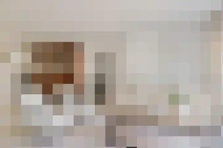 Filmlaan 11 Zoetermeer thumbnail 15